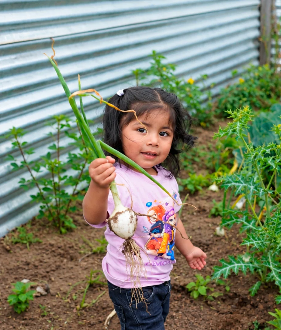 Niña en un huerto familiar